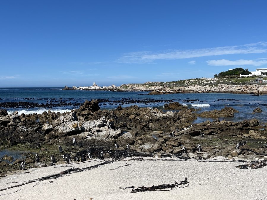 2 Bedroom Property for Sale in Bettys Bay Western Cape
